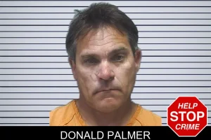 Donald Palmer mugshot