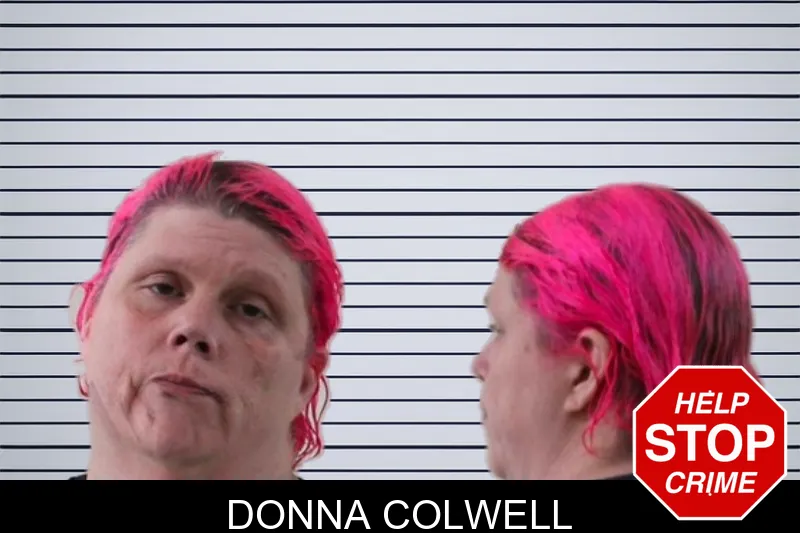Donna Colwell mugshot
