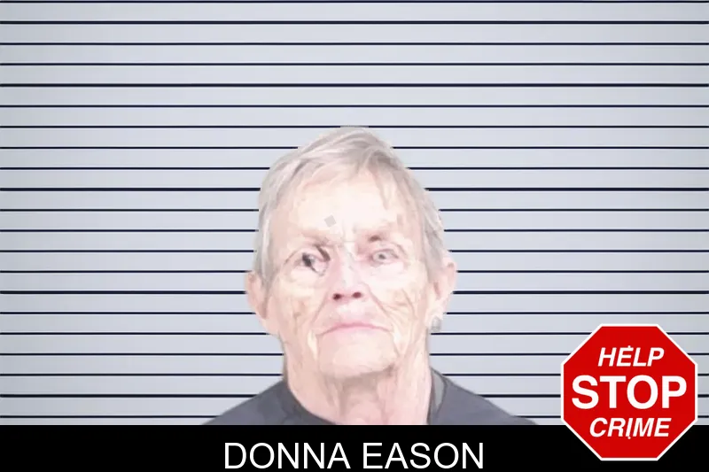 Donna Eason mugshot