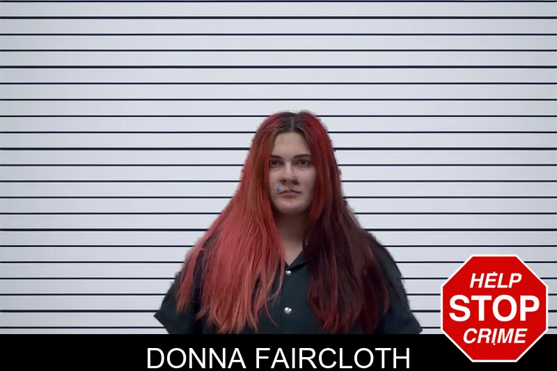 Donna Faircloth mugshot