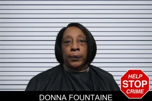 Donna Fountaine mugshot