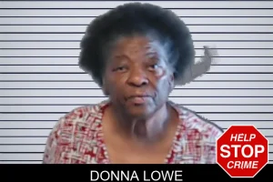 Donna Lowe mugshot