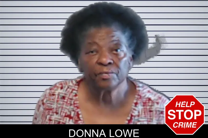 Donna Lowe mugshot