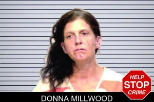 Donna Millwood mugshot
