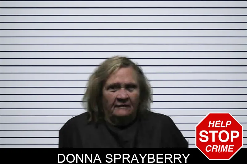 Donna Sprayberry mugshot