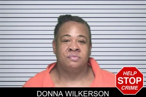 Donna Wilkerson mugshot