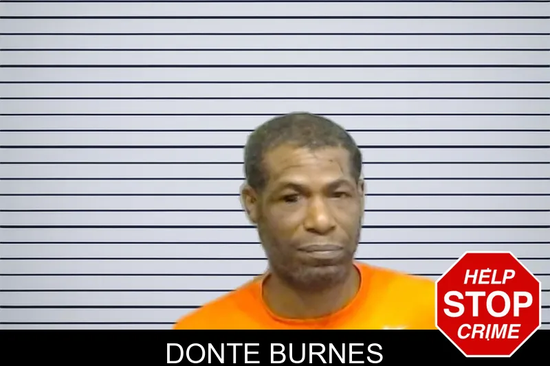 Donte Burnes mugshot