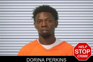 Dorina Perkins mugshot