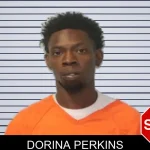 Dorina Perkins mugshot – Seminole County , Georgia Dorina Perkins mugshot