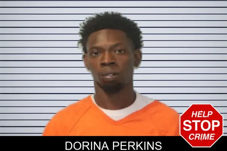 Dorina Perkins mugshot – Seminole County , Georgia Dorina Perkins