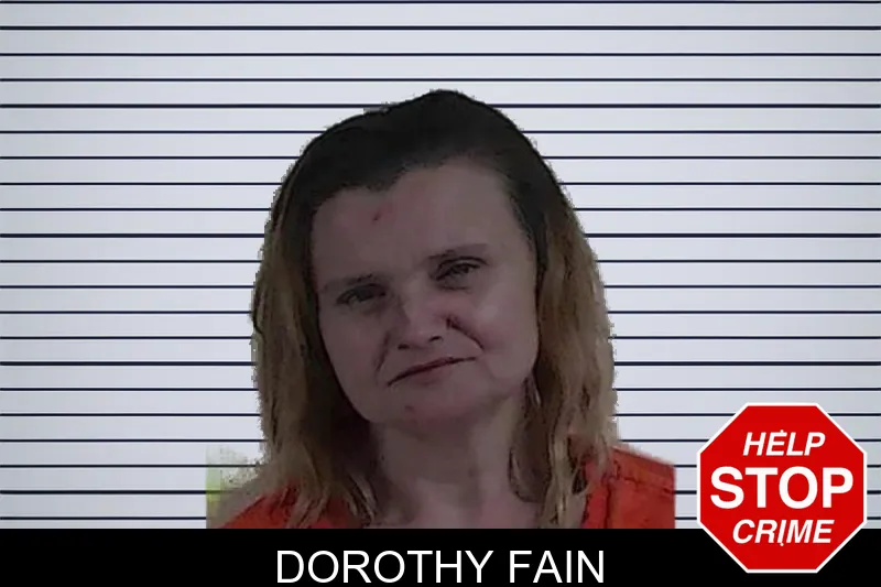 Dorothy Fain mugshot