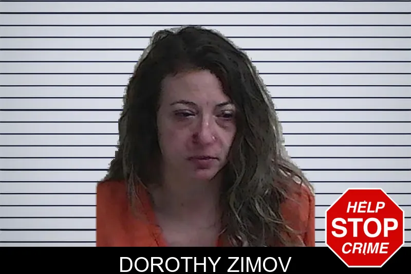 Dorothy Zimov mugshot – Fannin County , Georgia Dorothy Zimov mugshot