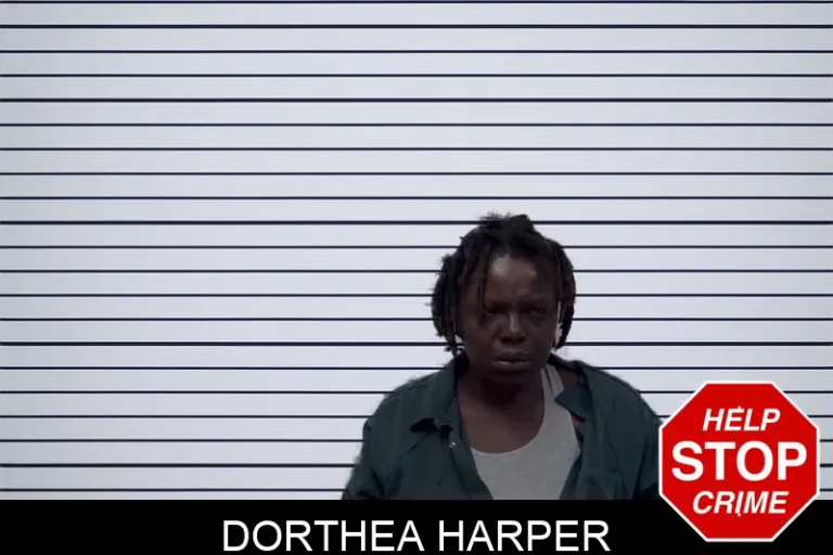 Dorthea Harper mugshot – Irwin County , Georgia Dorthea Harper