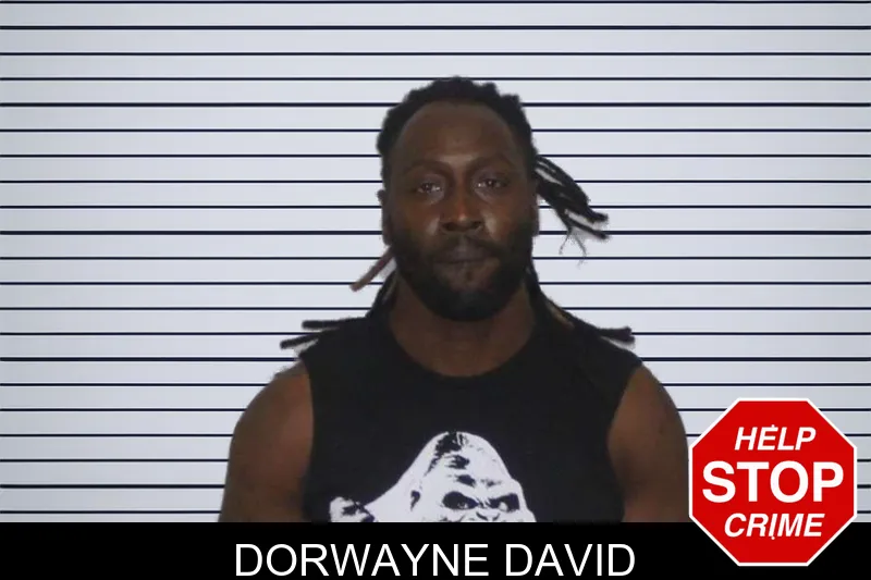 Dorwayne David mugshot