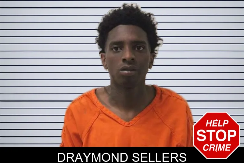 Draymond Sellers mugshot