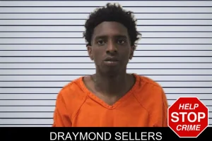Draymond Sellers mugshot