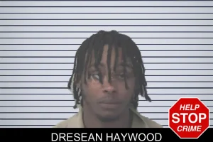 Dresean Haywood mugshot