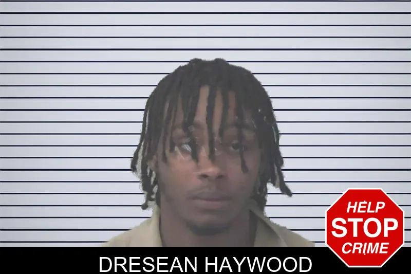 Dresean Haywood mugshot