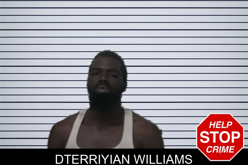 Dterriyian Williams mugshot
