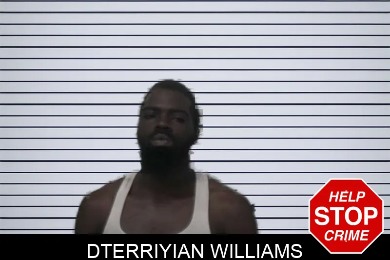 Dterriyian Williams mugshot