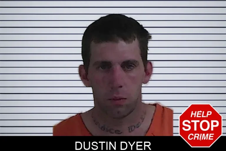 Dustin Dyer mugshot – Fannin County , Georgia Dustin Dyer