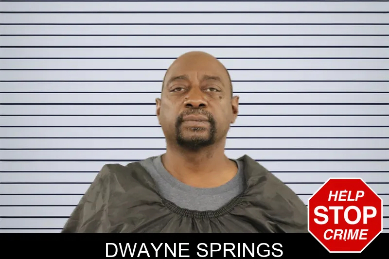 Dwayne Springs mugshot