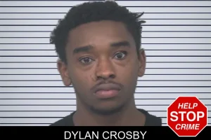 Dylan Crosby mugshot