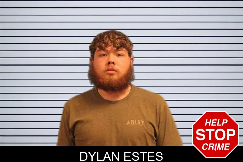 Dylan Estes mugshot