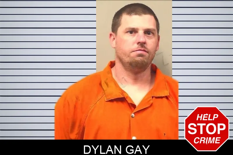 Dylan Gay mugshot