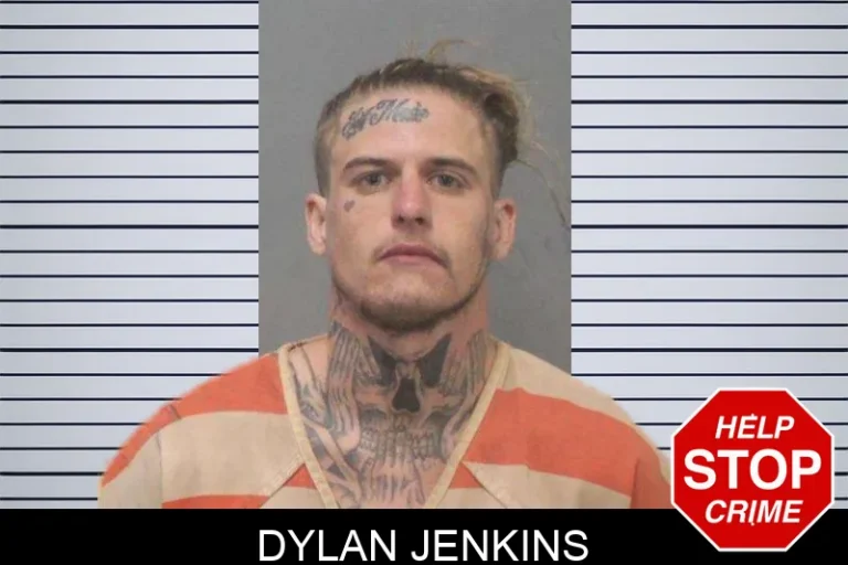 Dylan Jenkins mugshot – White County , Georgia Dylan Jenkins