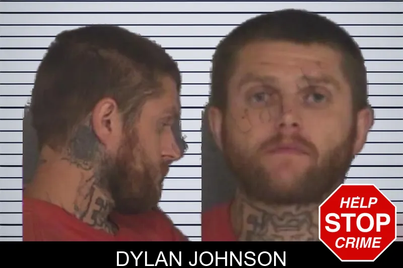 Dylan Johnson mugshot