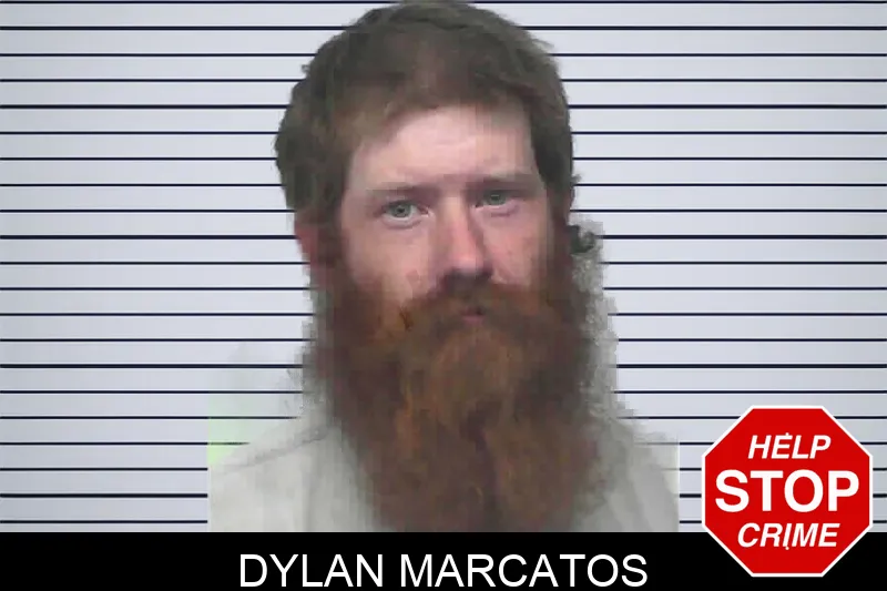 Dylan Marcatos mugshot