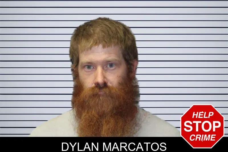 Dylan Marcatos mugshot