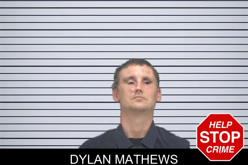 Dylan Mathews mugshot