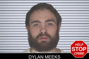 Dylan Meeks mugshot