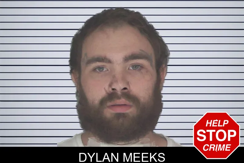 Dylan Meeks mugshot