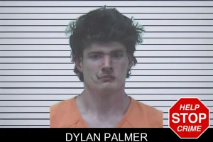 Dylan Palmer mugshot