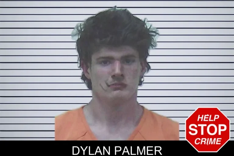 Dylan Palmer