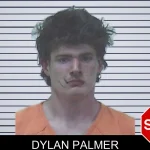 Dylan Palmer mugshot
