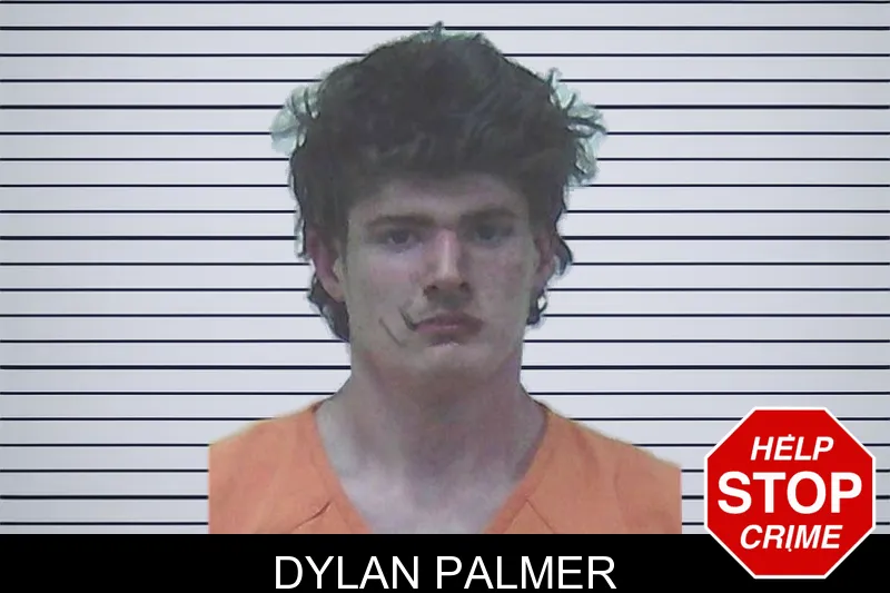 Dylan Palmer mugshot
