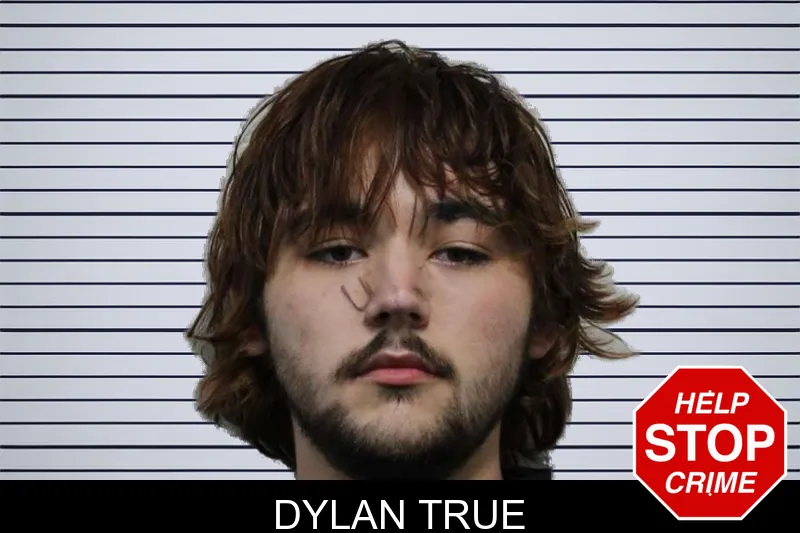 Dylan True mugshot