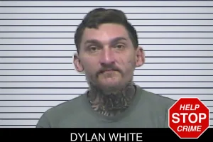 Dylan White mugshot