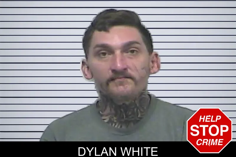 Dylan White mugshot