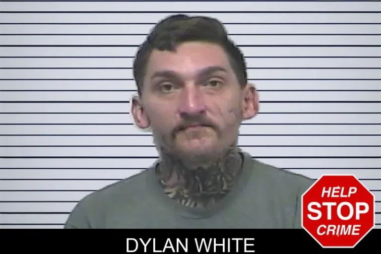 Dylan White mugshot – Towns County , Georgia Dylan White