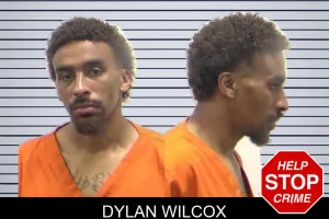 Dylan Wilcox mugshot