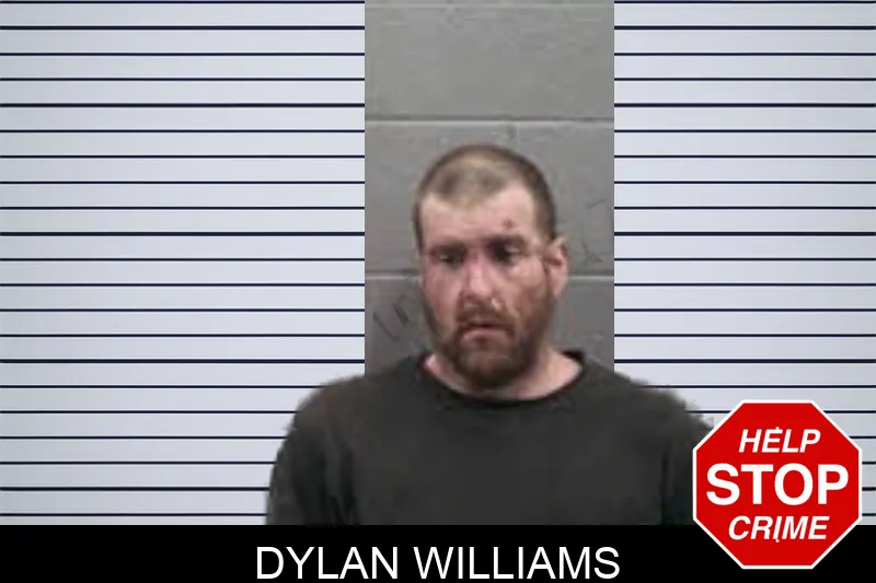Dylan Williams mugshot