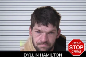 Dyllin Hamilton mugshot