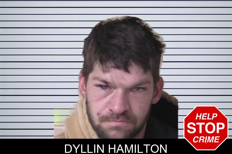 Dyllin Hamilton mugshot