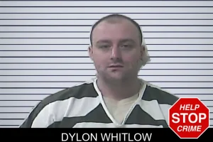 Dylon Whitlow mugshot