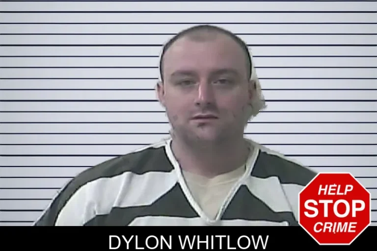 Dylon Whitlow